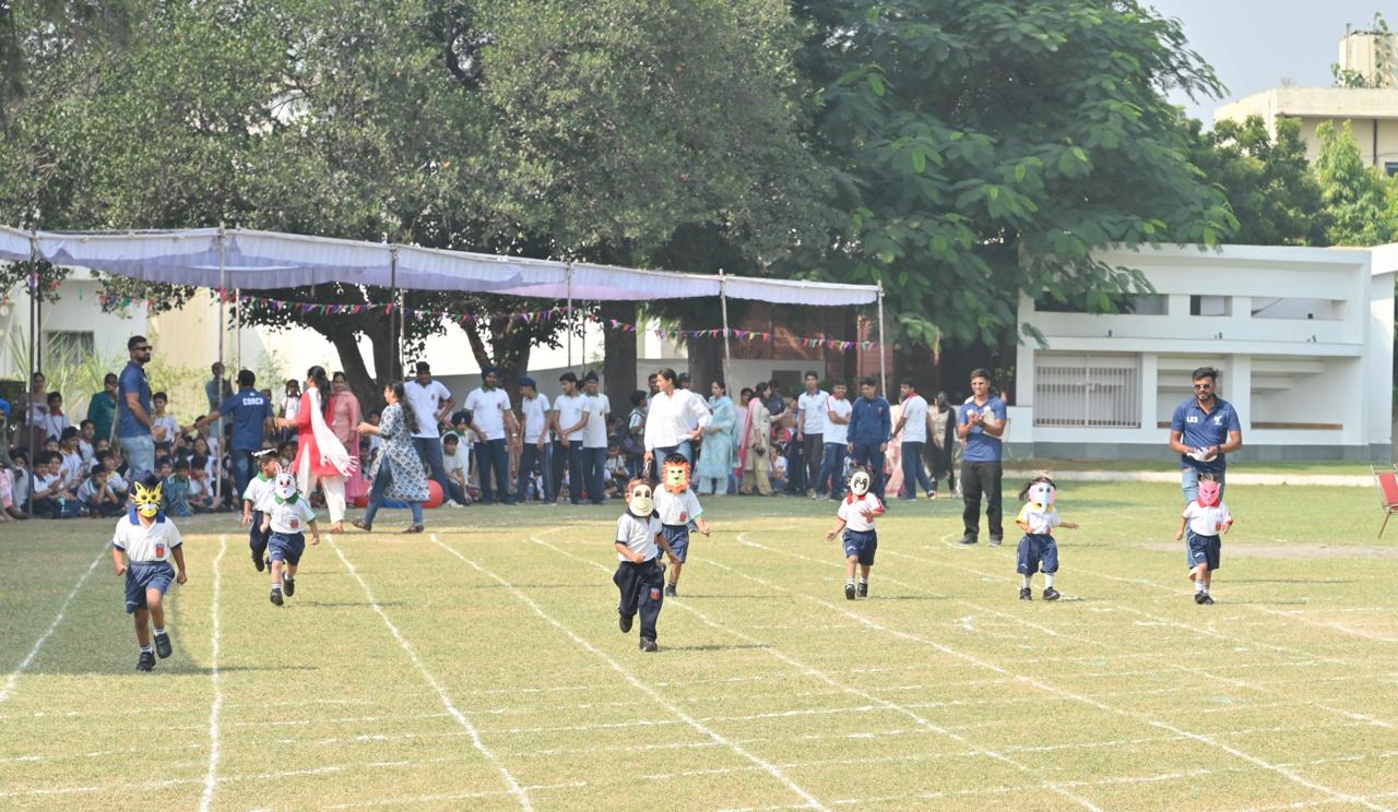 2024 Inter-House Sports at MSSSP - Athletics at Modern Senior Secondary School, Patiala - image 12